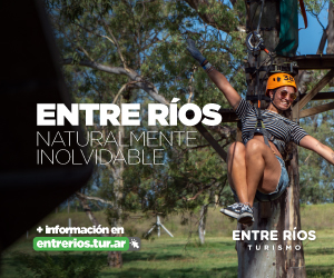 Publicidad